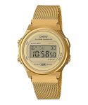 Casio Retro Youth Wr - A171WEMG-9ADF