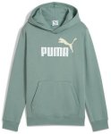 Puma Unisex Eseential 2 Color NO.1 Logo Hoodie In Sage - Sage 10-SEP