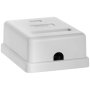 Acconet Pass-through CAT6 Connectors 100 Pack