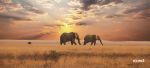 Elephants At Dusk Full Desk XL Coverage Gaming And Office Mouse Pad