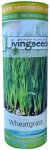 Living Seeds Wheatgrass Sprouting & Microgreen Seeds