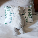 Delicious Monsters Scatter Cushion Eucalyptus
