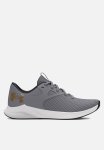 Under Armour W Charged Aurora 2