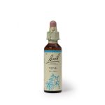 Vine 20ML