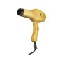 Portable Salon Ac Motor Fast Drying Hair Dryer En- 8895