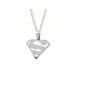 Men's Silver Stainless Steel Pendant & Necklace