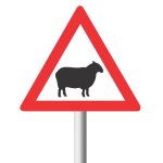 Domestic Animals Sheep Road Sign W312