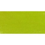 Soft Pastel - Tropical Green 713