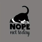 Cute 'not Today' Kitten Iron-on Heat Transfer Sticker Diy Decal For T-shirts Pillows & Clothing Customization