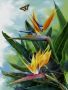 Tropical Flight - Paint By Numbers Kit For Adults 40CM X 50CM Canvas