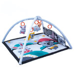 Flip & Fun Activity Gym