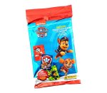 Paw Patrol Collectors Starter Pack