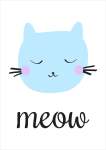 Meow - Acrylic Wall Print - 600MM X 600MM