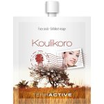 Terractive Koulikoro Facial Scrub 16G