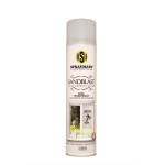 Spraymate Sand Blast Spray - 250ML - Mist - Mica Online