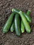 Squash Caserta Seed - 100 G Raw Seed