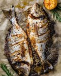 Silver Fish