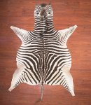 B Grade Zebra Hide 028 M