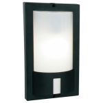 Rectangle Die Cast Poly Cover IP44 1X60W Es