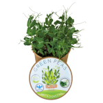GREE N Peas Micron Kit