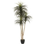 @home Faux Yucca Tree 185CM
