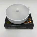 Body Induction Lamp