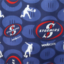Vodacom Stormers Novelty Fabric 235CM