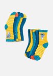PoP Candy 5 Pack Socks - Multi Dino