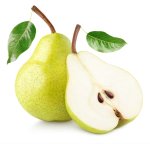 Packham Pear Tree 50LT