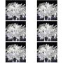 Title: 6 Packs 10M Extendable Party Fairy Lights - Warm White