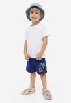 Sweatshirt Shorts - Navy Blue Surfboards