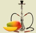 Mango Shisha Type Concentrate - 10ML