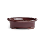 Assorted Glazed Bonsai Pots 6" - Mustard Red Oval 15 X 11.5 X 4CM