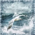 Serviette - Seagulls In Stormy Sea 33X33CM
