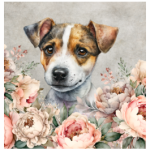 FSC2384 Printed Blanket Assorted