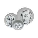 Carrol Boyes Succulent Faces 12 Piece Dinner Set Grey