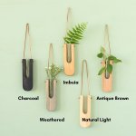 Decorative Wall Propagation Vase - Charcoal