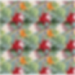 Printed Runner Tropical