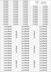 Strip School Labels Plain