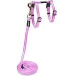 CAT Rogz Alley Control Xsmall Harness And Lead - Lilac Waggs Online Pet Shop