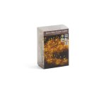X-mas Deco Silver Wire 100LED Warm White