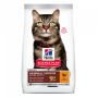 Hairball Indoor Mature Adult With Chicken Cat Food - 2.5KG