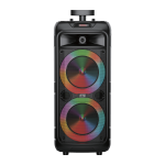 Double Gooi FTS-2013 8"2 Double Multimedia Bt Speaker