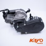 Kayo A50 50CC 2 Stroke 3HP Motor + Gearbox