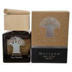 Wooden Top Diffuser 120ML Spicy Bushwillow