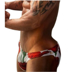 Red Roses Brief Swimwear