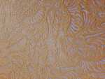 Clearance Assorted Lace