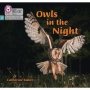Owls In The Night - Phase 3 Set 2   Paperback