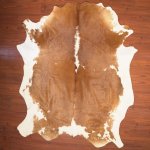 Aa Grade Nguni Hide 142 Brown white XXL - Extra Extra Large Brown white Panelled