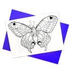 Colour Butterfly Card